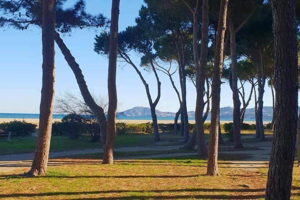 Joli Studio Cabine 4 Personnes A 300 M De La Plage Argelès-sur-Mer Exterior foto